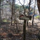 한아름 사슴 농장 이미지