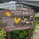 꼬꼬체험장 이미지