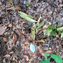 옥성문구 이미지