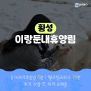 이랑둔내휴양림 이미지