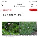 조뱅이 이미지