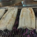 셀프장어 이미지