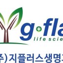 지플러스뉴스
