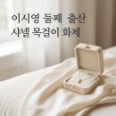 대진상회 - 천안시 동남구 향교1길 24-6 | 이시영 둘째 출산 소식과 800만원대 샤넬 목걸이 화제의 근황