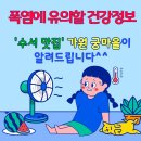 가원시스템에어컨 | 폭염에 유의할 건강 정보, 수서 맛집 가원 궁마을이 알려드립니다!