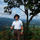 제주진도 이미지