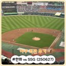 교촌치킨 인천SSG랜더스필드점 | [직관] 인천SSG 랜더스필드에서 한화 vs SSG 직관 후기 (250627) (Feat. 치맥, 4층 SKY뷰석 411블록 시야)