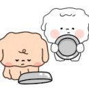 임성보동태찌개