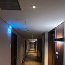 더블디카워시 | [롯데시티호텔 대전] 스탠다드 할리우드 더블룸 내돈내산 후기 (ft. 성심당 DCC 바로 앞) | 대전 숙소 추천