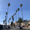 270-3555 | 라스베가스 Day 1 :: 플라밍고호텔, 시저스포럼샵, 패리스호텔, 고든램지 스테이크