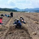 관산읍행정복지센터 이미지