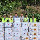 산동면행정복지센터 이미지