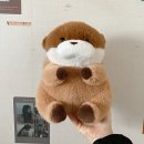 우소