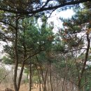 전북 군산시 월명공원 연계1일6산 종주 코스 /2823.6.12.월(2/2) 이미지