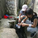 향가약수터 이미지