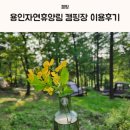 용인자연휴양림4 이미지