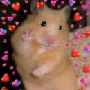 꾸꾸네 친구들 | 꾸꾸네 부모님 뵌 날(남자친구 부모님께 인사드리기, 아이디어스 선물추천, 경산화덕피자)