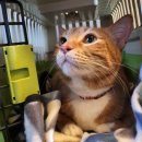 아빠세차장 | 밀양 자동차 손세차 가격 원세차장 추천 내돈내산 후기