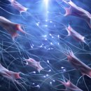 청담리투의원 이미지