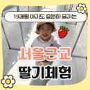 용농장 | 서울근교 딸기따기 체험 _ 용팜팜놀이터 딸기농장 19개월 아기와 즐긴후기