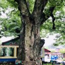입암마을진입로 | 【100대명산/블랙야크-63】 전북 부안 변산반도에 위치한 내변산 산행은, 내소사-관음봉- 세봉-내소사...