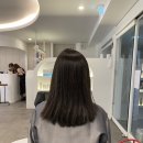 오목교역미용실 시연헤어 오목교점에서 컨설팅디자인컷 후기