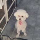 동아동물병원 이미지