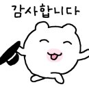 미미꼬마김밥