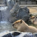 동래온천호텔 이미지