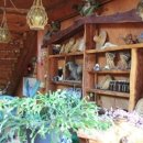 아산사슴 건강의 집 이미지