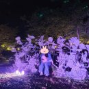 옹기를찾는사람들 | 울산 옹기축제 후기 🌙✨한달 넘게 블로그 쉬다가 오랜만에 다시 적는 일상글 🫶