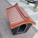 화룡점기아오토큐