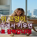 왕성축산 | 한국에서 키울 수 있을까?/서벌캣·사바나캣 분양 완벽 가이드