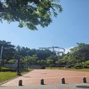 포항환호해상공원 티스토리
