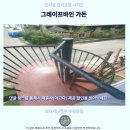 그레이프바인 | 코타키나발루 가성비 숙소 그레이프바인 가든 후기 추천