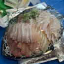 전라도미가 | 노량진수산시장 회 맛집 전라상회 제철 방어 포장 후기