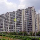 덕명로 Daum카페