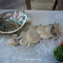 수궁해산물,회