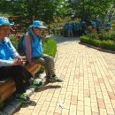 하버드유치원 이미지