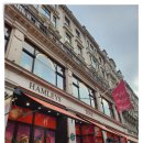 런던 여행(5) 아이들과 가볼 만한 곳, 라이온킹 뮤지컬&amp;햄리스 Hamleys 장난감 마켓