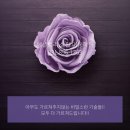 에셀트리실전미용학원 이미지