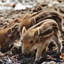 좋은환경 이미지