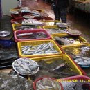 청솔내마을 이미지