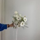 동촌7길 | 💍W08. 대구 웨딩촬영 부케 추천 “헤이내추럴” 계약 후기 (내돈내산)