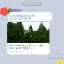 유미네꽃