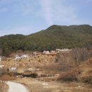 흑송농장 Daum카페