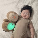 아기 수면인형 러블리부 내돈내산 후기 통잠 재우고 싶을 땐?