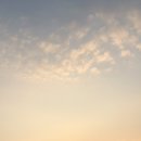 씨유감정신안점 | 190804-190830 :: 8월 한달 일상