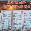 호야홀릭