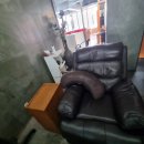 맘편하개 이미지